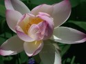 Opening Up